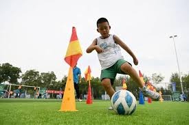 植物大战僵尸杂交版2.1版怎么设置全屏 全屏设置方法分享